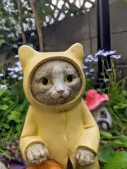 たぬりんの画像