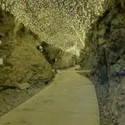 パダの画像
