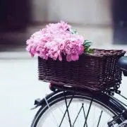 Jeanneの画像