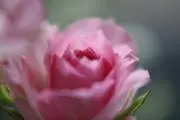 k.mistの画像