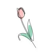 あみの画像