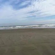 Ｙ