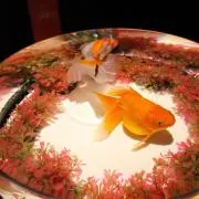 リお プロフご覧ください！