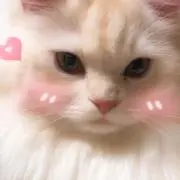 ハク