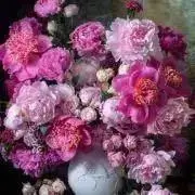 PINK♪プロフ必読♩早い者勝ち❣️の画像
