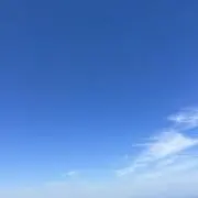 めたもんの画像