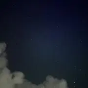 SAPEの画像