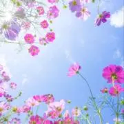ゆう