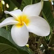 038の画像