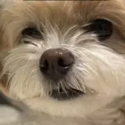 nu ＊プロフ必読の画像
