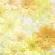 すぅの画像