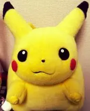しがらみの画像