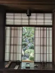 ウニウニの画像