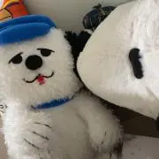なつの画像