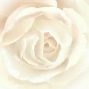 みちゅとわん♪必須プロフ読んでくださいの画像