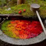 おもちの画像
