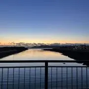 トミの画像