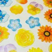 ほたる＊発送遅め、メッセージ❌️の画像
