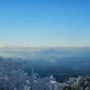 Ryotaの画像