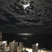 ダリルの画像