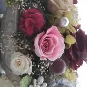 happyの画像