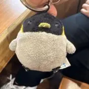 かなやわの画像