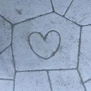 ぱむ