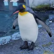 ukiukipuuの画像