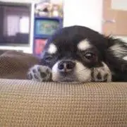 たらい