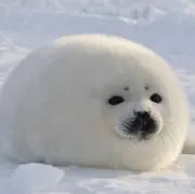 れのあ♡