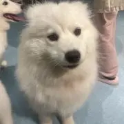 あ