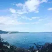 ゆいどん プロフ必読