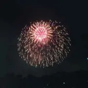 あさ