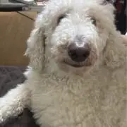 ユートピア。
