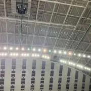 はれの画像