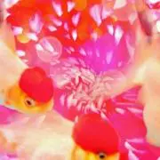 みへの画像