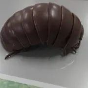 亀屋和希の画像