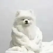 絹ごしどうふの画像