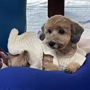 晴の画像