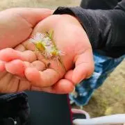はる❤️