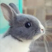 かか