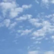 S【配送遅いです】の画像