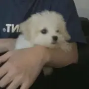 7:)7の画像