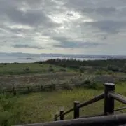 みのりの画像