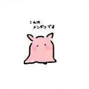 本棚。の画像