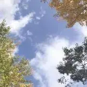 ぽんの画像