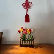 ハチワレの画像