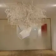 ちゃむの画像