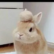 ツムツム☆