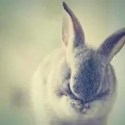 りょう